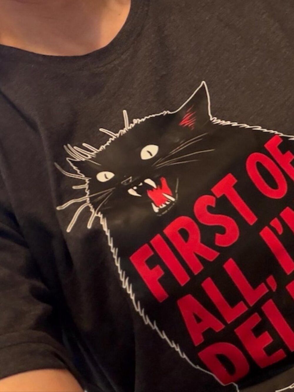 First of All I’m a Delight Funny Cat Graphic Tee - Picture 5 of 5